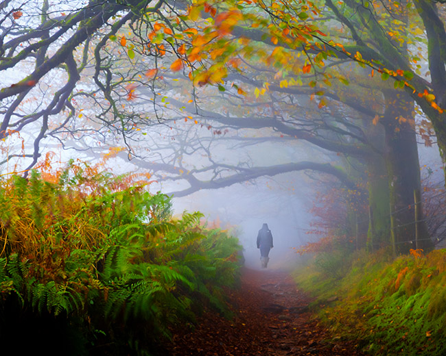 Dartmoor National Park, autumn