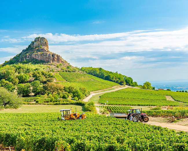 harvest time at Roche de Solutre by Marco Arduino