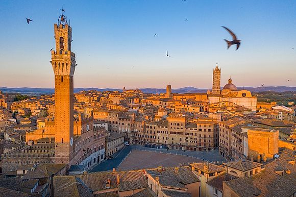 Swallows over Siena, and Chianti Siena's towers soar skyward over the Piazza del Campo