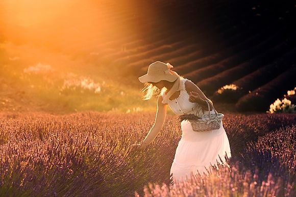 Provence Summer Stock Images