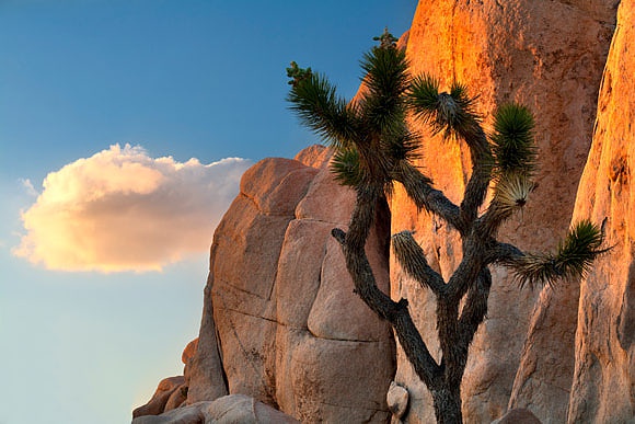 California National Parks Images