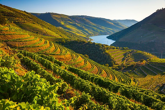 Douro Valley Travel Stock Images