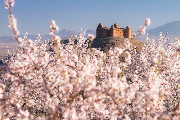 Spring in Andalusia Spain Stock Images