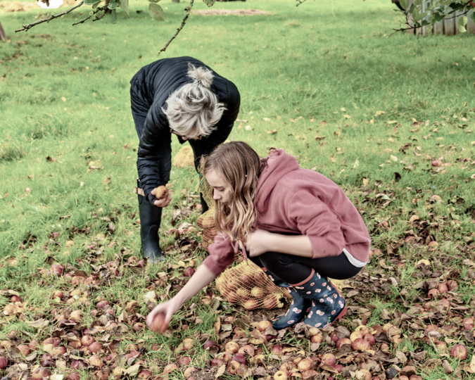 When Life gives you apples... With orchards aplenty, the English county of Somerset has been synonymous with cider forever, and right across that county, apple growers of all sizes are engaged in the time-honoured seasonal ritual of pressing the autumn fruit.