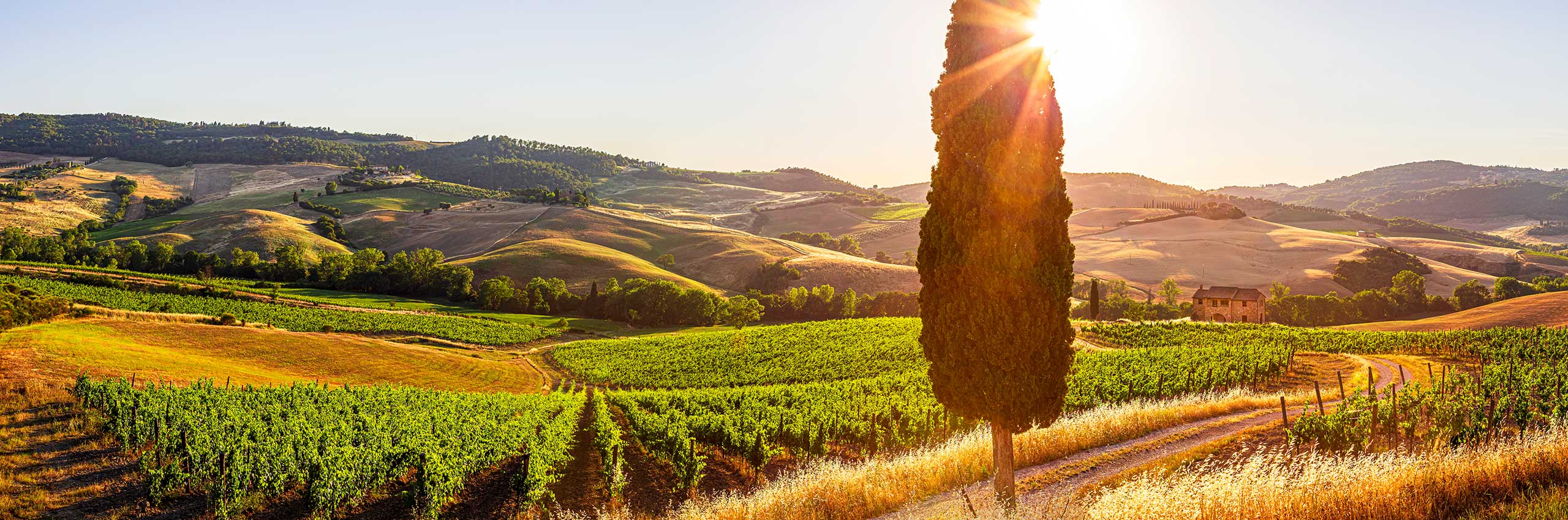 FCR-1232953 | Italy/Tuscany, Siena district, Orcia Valley, Pienza | © Paolo Evangelista/4Corners