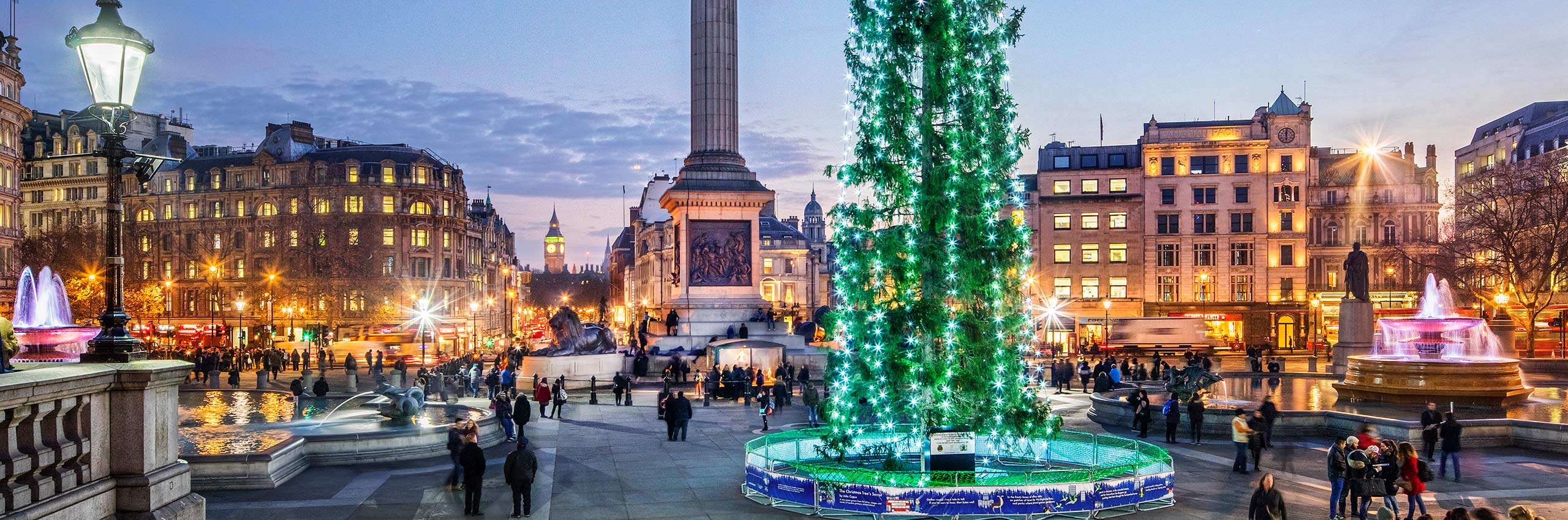 BVH-20643866 | UK/London, Christmas Tree on Trafalgar Square with Admiral Lord Nelson Column in December | © Reinhard Schmid/4Corners