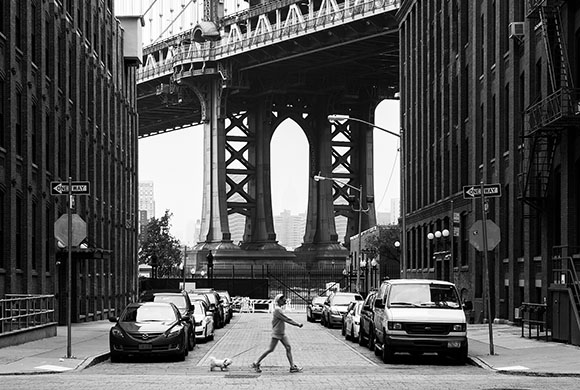 4Corners Favourite Brooklyn Dogwalk by Jordan Banks